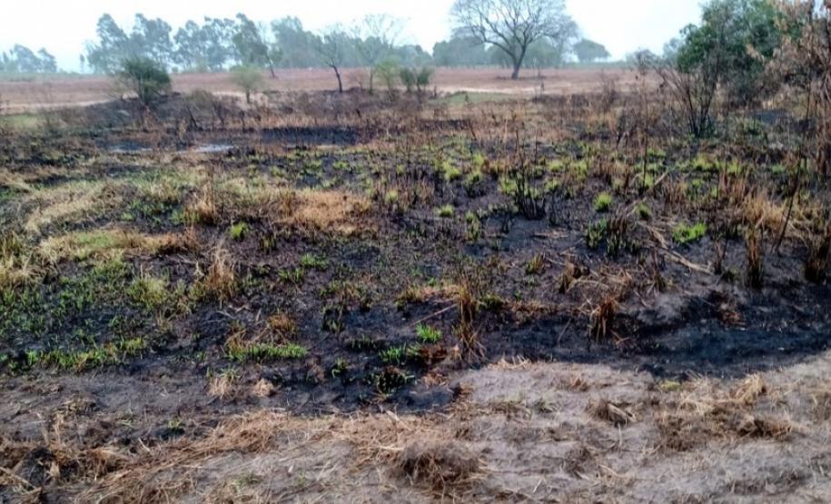 ​Polícia Ambiental reforça ações e atende 15 mil ocorrências em 2020