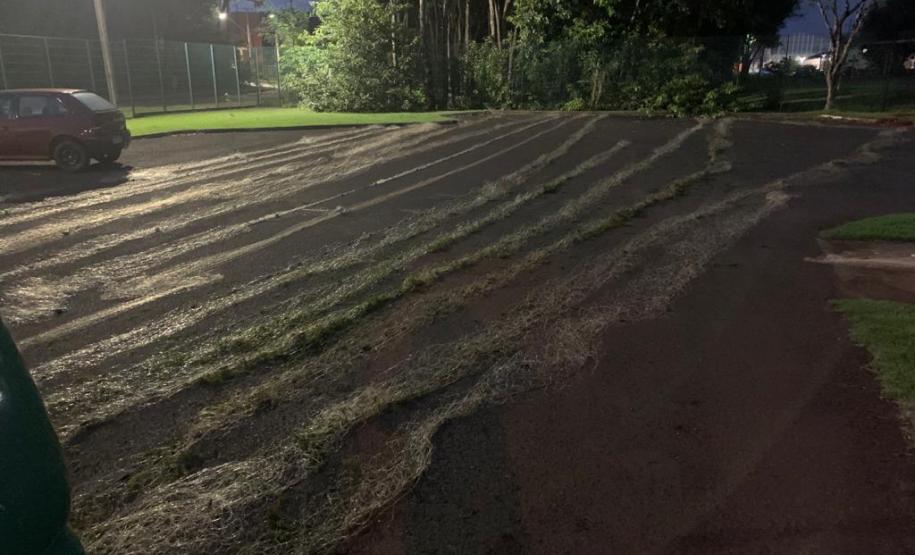 BPAmb-FV prende homem e apreende 600 metros de redes, aves silvestres e duas armas de fogo em situações distintas no Paraná