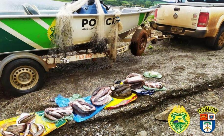 No Noroeste do estado, PM apreende quase 30 metros de rede e quase 500 quilos de peixes durante fiscalização da Piracema