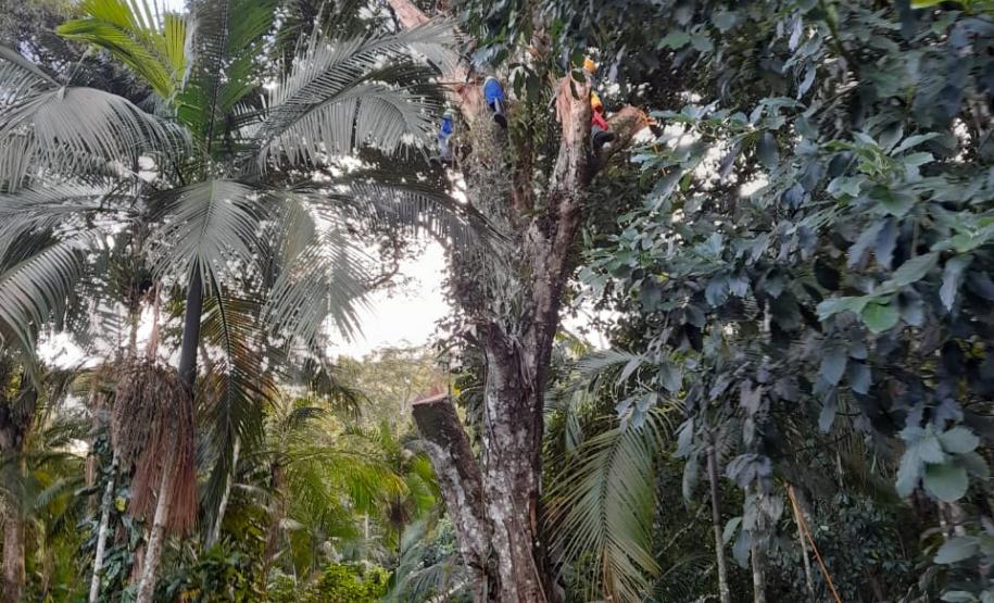 Helicóptero do BPMOA faz resgates na RMC e Litoral no feriado de Páscoa