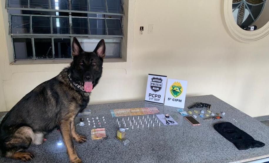 No Noroeste do Paraná, PM e PC cumprem sete Mandados de Busca e Apreensão durante a Operação Retomada