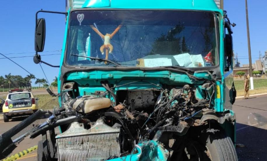 BPRv apreende 620 quilos de maconha e mais de 16 mil pacotes de cigarros contrabandeados no Noroeste do estado