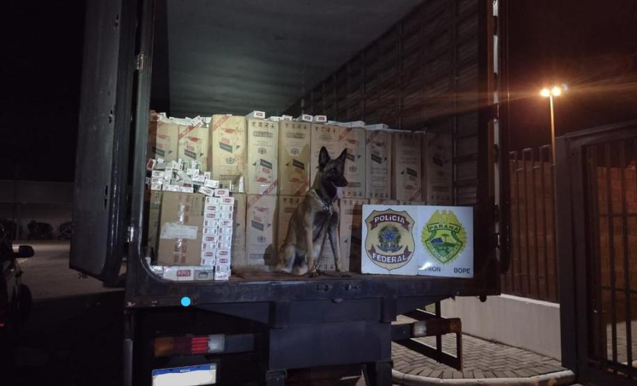 Durante Operação Hórus, cerca de R$ 1 milhão em cigarros contrabandeados é apreendido em Altônia e Guaíra, na região fronteiriça do estado