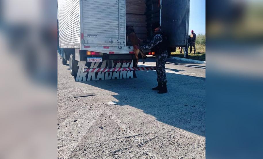 Cães de faro do BPRv auxiliam em operações contra o tráfico de drogas no Norte Pioneiro e na Região Metropolitana de Curitiba