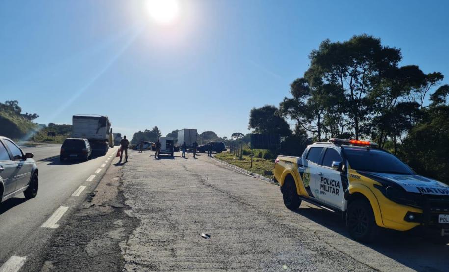 Cães de faro do BPRv auxiliam em operações contra o tráfico de drogas no Norte Pioneiro e na Região Metropolitana de Curitiba