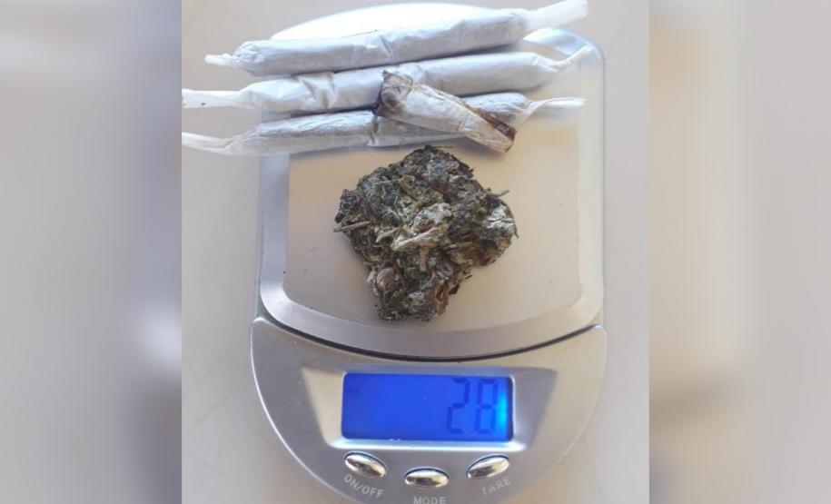 Cães de faro do BPRv auxiliam em operações contra o tráfico de drogas no Norte Pioneiro e na Região Metropolitana de Curitiba