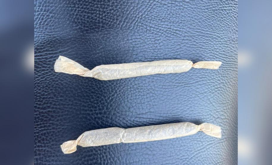 Cães de faro do BPRv auxiliam em operações contra o tráfico de drogas no Norte Pioneiro e na Região Metropolitana de Curitiba