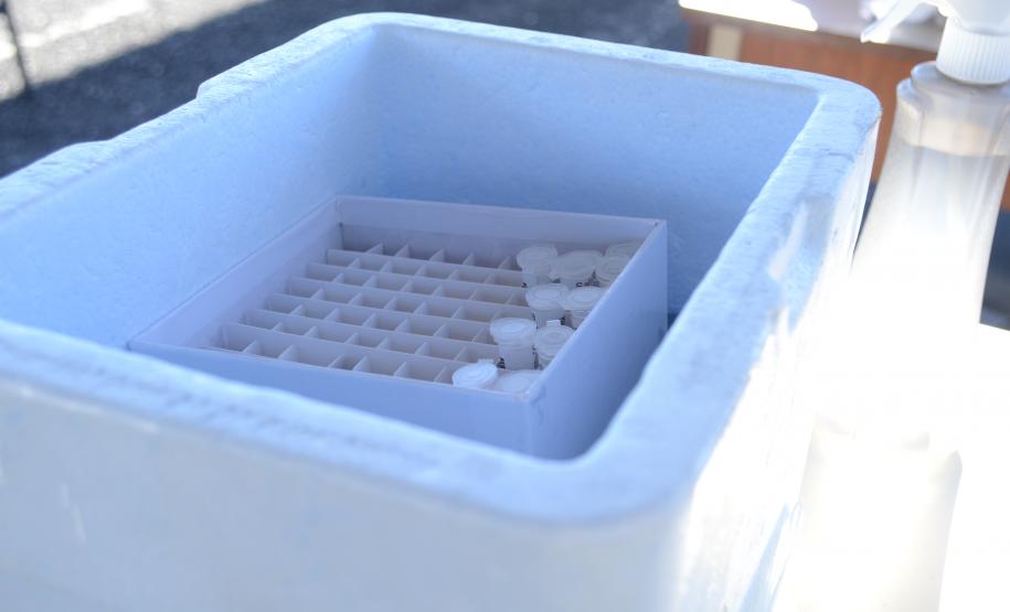 testagem covid cadetes