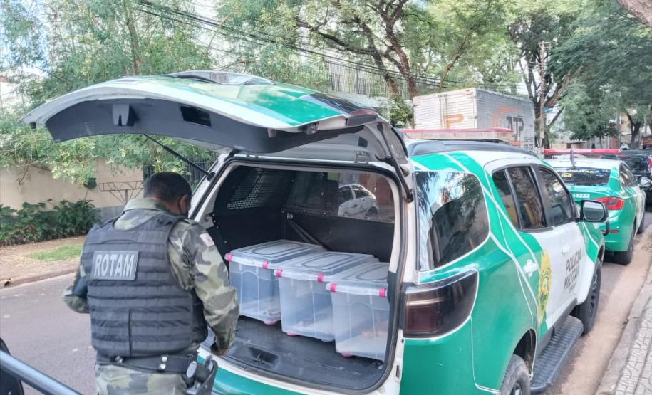 Batalhão ambiental e IAT resgatam animais silvestres de cativeiro ilegal e autuação de R$ 14,7 mil, no Norte do Paraná