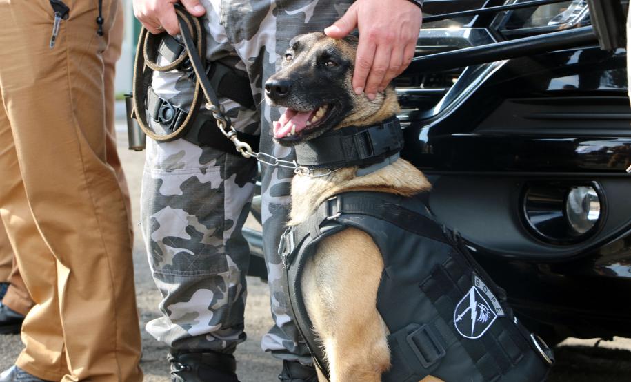 Ampliação de treinamentos e capacidade de resposta mais forte serão referência do BOPE com nova sede em Piraquara