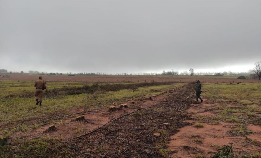 Polícia Ambiental e IAT encaminham aves feridas por chuva de granizo em Santa Mônica, no Noroeste do estado