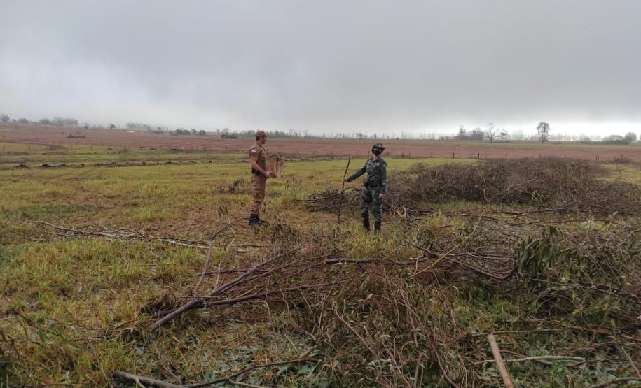 Polícia Ambiental e IAT encaminham aves feridas por chuva de granizo em Santa Mônica, no Noroeste do estado
