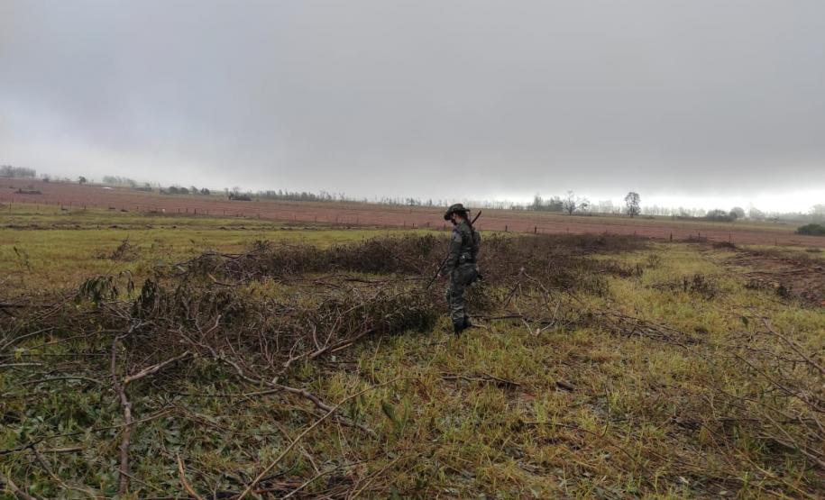 Polícia Ambiental e IAT encaminham aves feridas por chuva de granizo em Santa Mônica, no Noroeste do estado