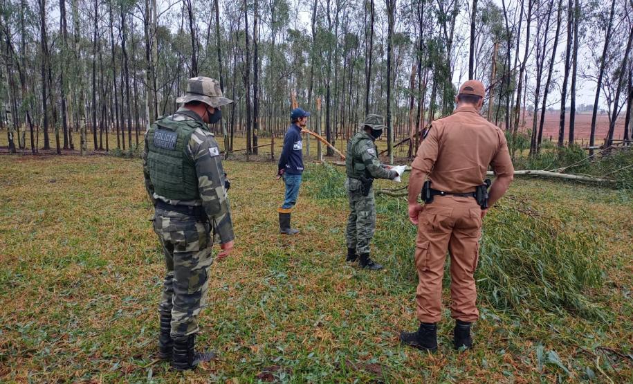 Polícia Ambiental e IAT encaminham aves feridas por chuva de granizo em Santa Mônica, no Noroeste do estado
