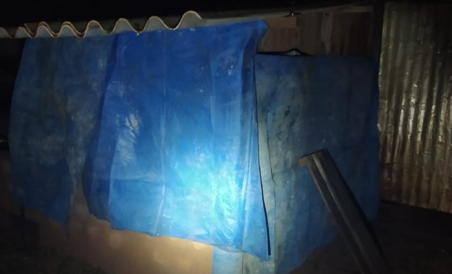 Polícia Ambiental e IAT encaminham aves feridas por chuva de granizo em Santa Mônica, no Noroeste do estado