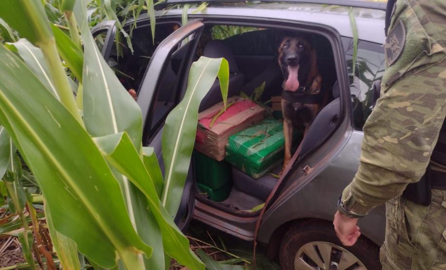 Mais de 1,3 tonelada de maconha é apreendida durante Operação Hórus, no Oeste do Paraná