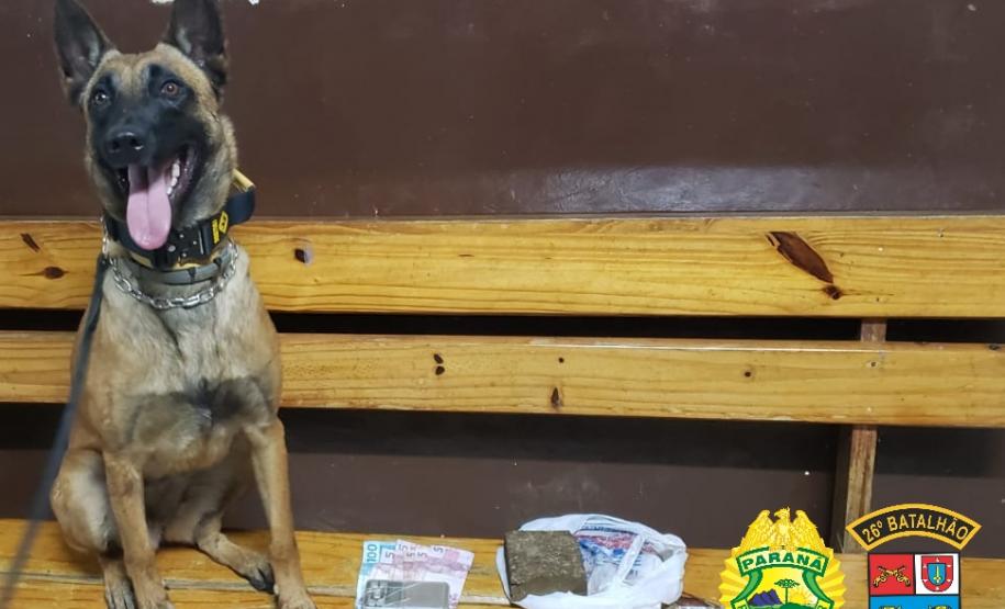 Em Tibagi, PM encerra festa clandestina com 53 pessoas e apreende maconha