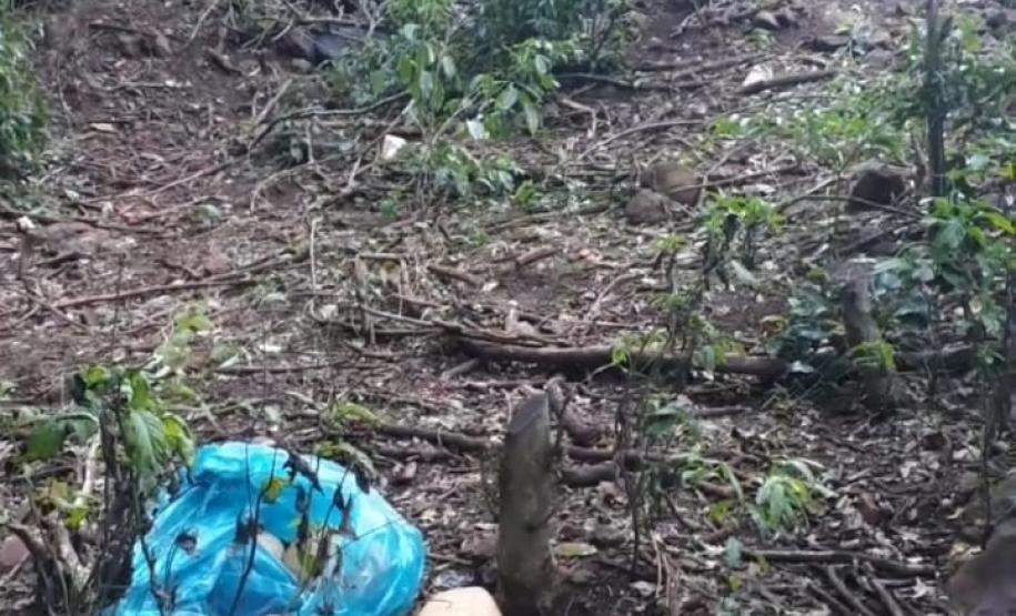 Mais de uma tonelada de maconha é apreendida pela PM em Santa Helena