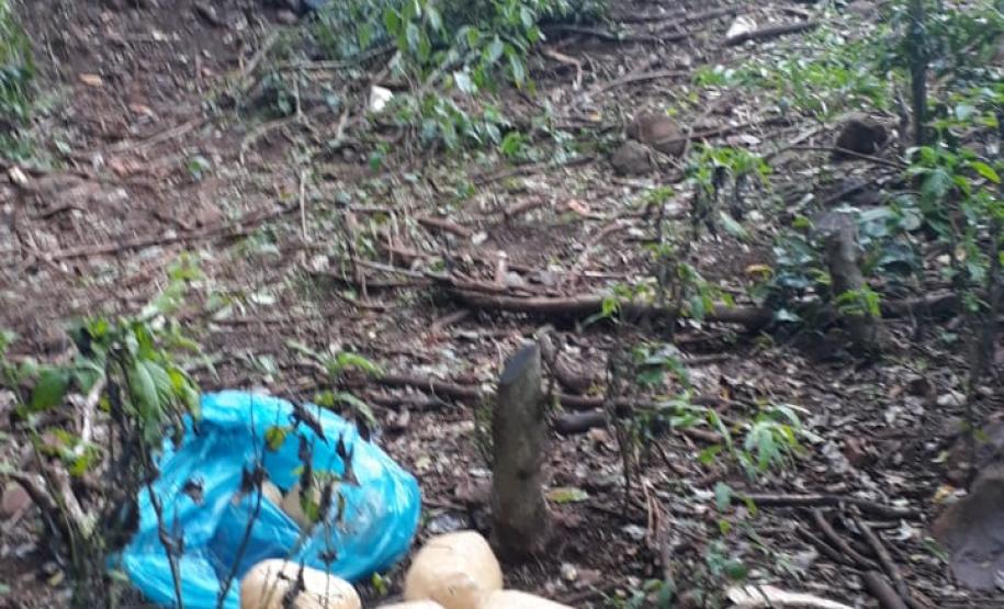 Mais de uma tonelada de maconha é apreendida pela PM em Santa Helena