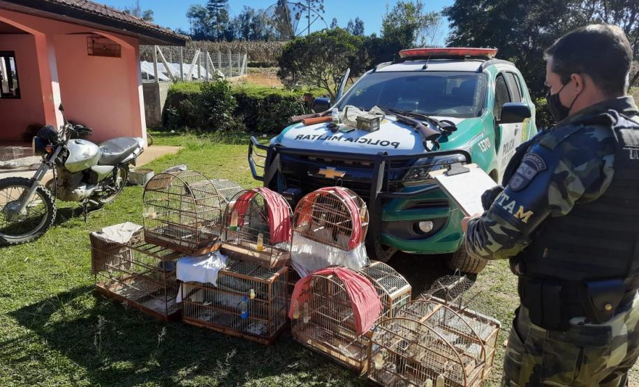 Polícia Ambiental apreende quatro armas e 12 pássaros silvestres em Rio Negro (PR)