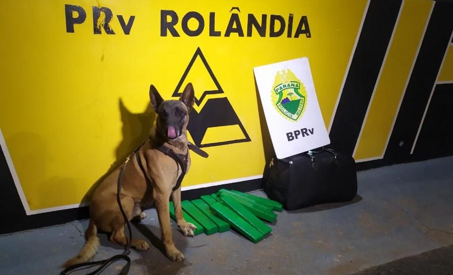 Mulher é presa com 10 quilos de maconha pelo BPRv em Rolândia, no Norte do estado