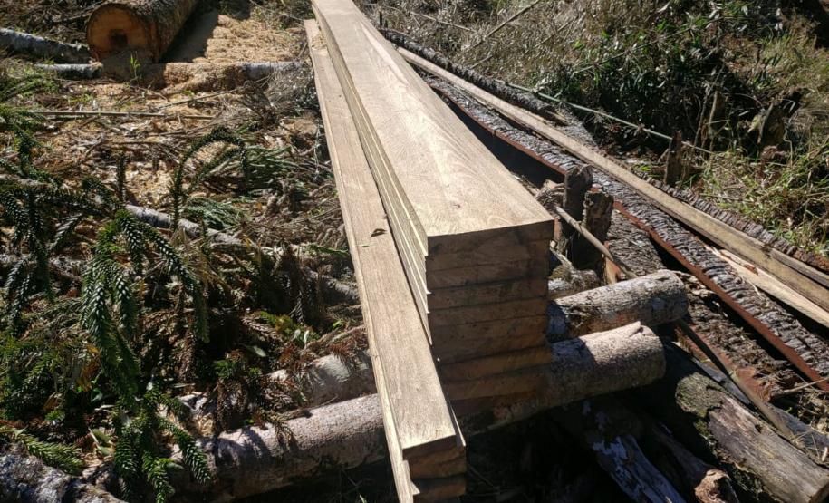 Polícia Ambiental e IAT localizam 406 hectares desmatados no Centro-Sul e aplicam R$ 4,2 milhões em multas