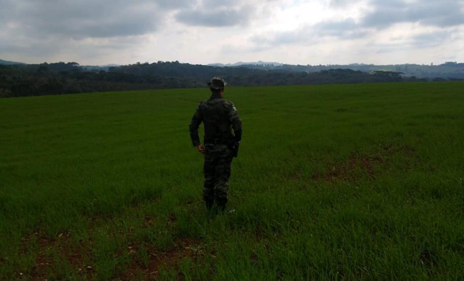 Polícia Ambiental e IAT localizam 406 hectares desmatados no Centro-Sul e aplicam R$ 4,2 milhões em multas