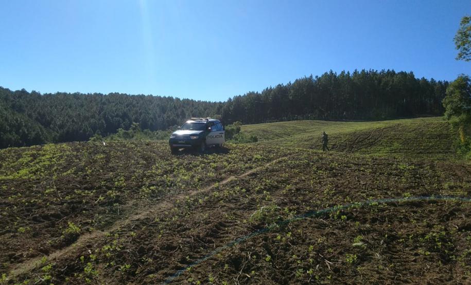 Polícia Ambiental e IAT localizam 406 hectares desmatados no Centro-Sul e aplicam R$ 4,2 milhões em multas