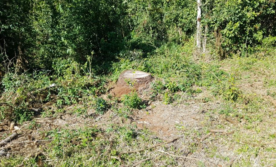 Polícia Ambiental e IAT localizam 406 hectares desmatados no Centro-Sul e aplicam R$ 4,2 milhões em multas