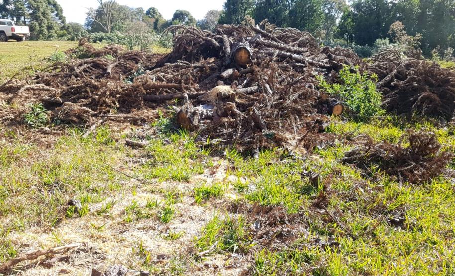 Polícia Ambiental e IAT localizam 406 hectares desmatados no Centro-Sul e aplicam R$ 4,2 milhões em multas
