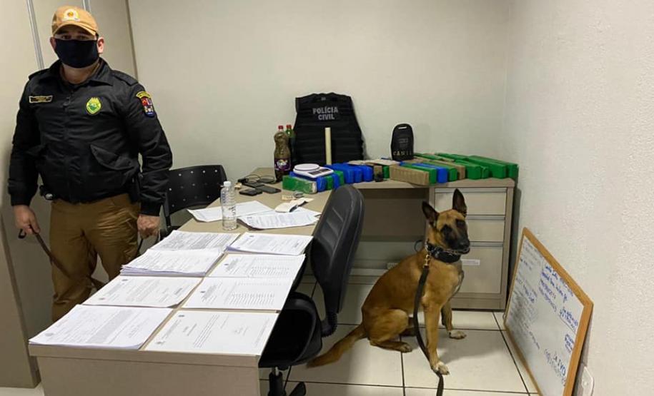 PM prende dois homens, apreende 19 quilos de maconha e uma pistola em uma ação conjunta com a Polícia Civil no Noroeste do estado