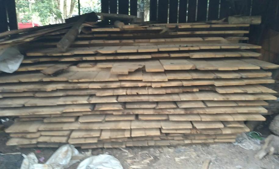 Polícia Ambiental do Paraná aplica mais de R$ 119 mil em multas e apreende 61 metros cúbicos de madeira nativa em Manfrinópolis