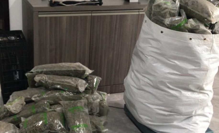 BPRv localiza 61 quilos de skunk durante abordagem em Floresta (PR)