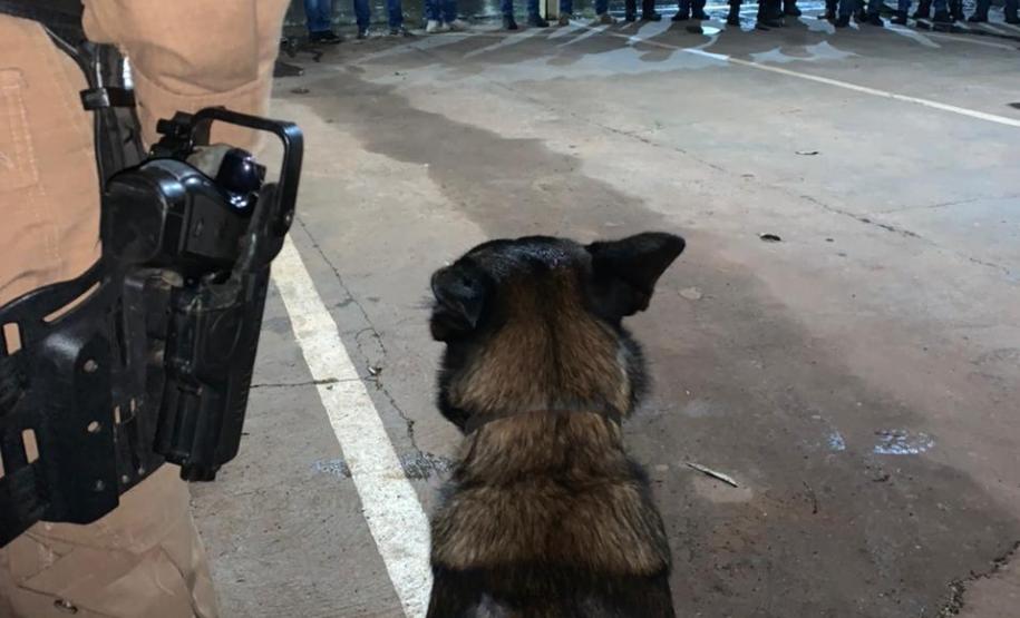 PM e PC cumprem 30 mandados judiciais e apreendem duas armas de fogo no Noroeste do estado