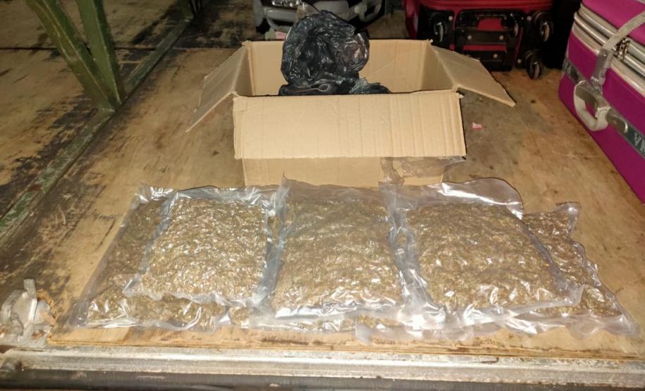 Ação integrada do BPFron com a Polícia Federal resultam na apreensão de 185 quilos de maconha e dois quilos de murruga na região fronteiriça do Paraná