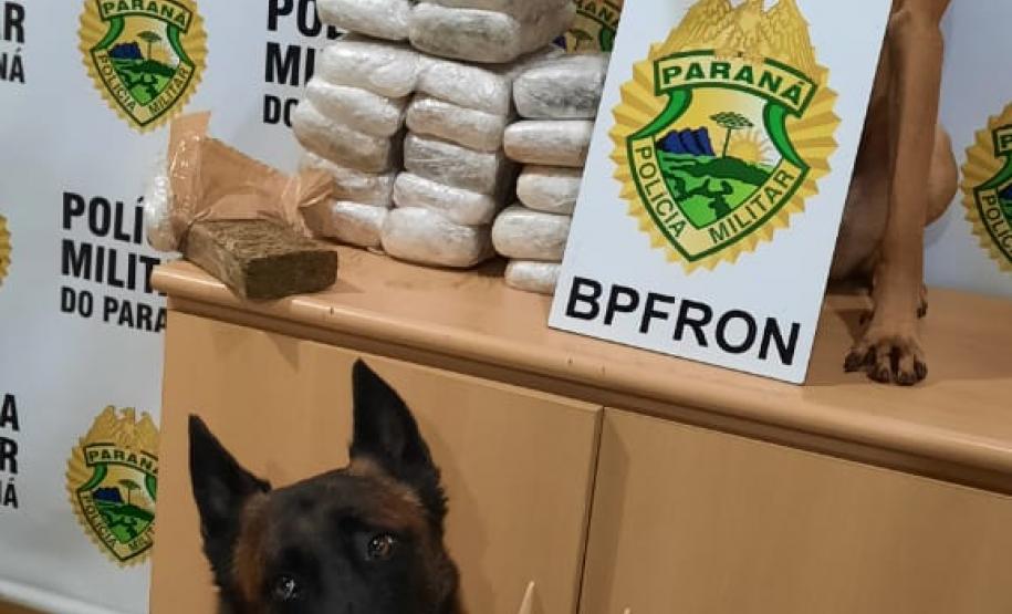 Em situações separadas, policiais militares e federais apreendem mais de 13 quilos de maconha no Oeste do Paraná