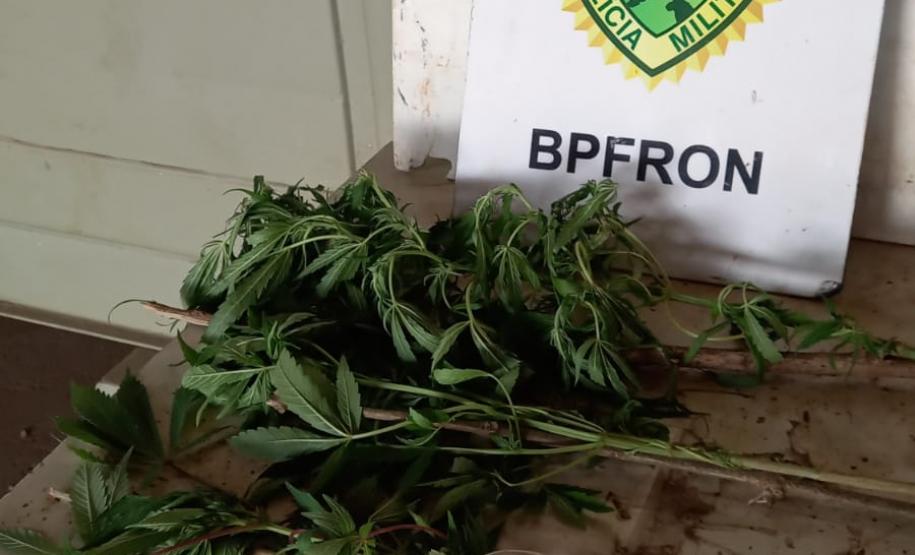 Em situações separadas, policiais militares e federais apreendem mais de 13 quilos de maconha no Oeste do Paraná