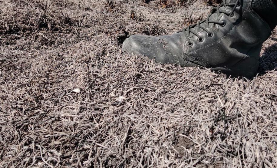 Polícia Ambiental contém incêndio no Parque Nacional de Ilha Grande durante patrulhamento de rotina