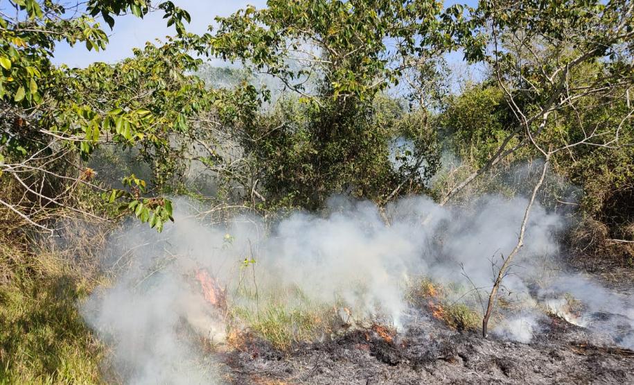 Polícia Ambiental contém incêndio no Parque Nacional de Ilha Grande durante patrulhamento de rotina