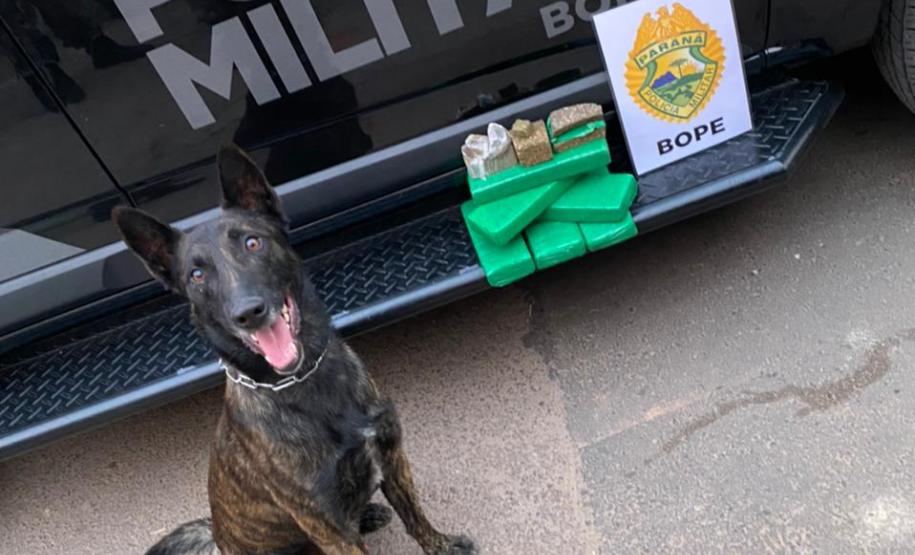 PM cumpre 13 mandados judiciais no bairro Prado Velho e apreende adolescentes envolvidos com o tráfico, em Curitiba