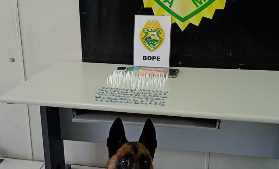 Trio é encaminhado e porções de drogas apreendidas graças a aplicação de cão de faro da PM em Curitiba