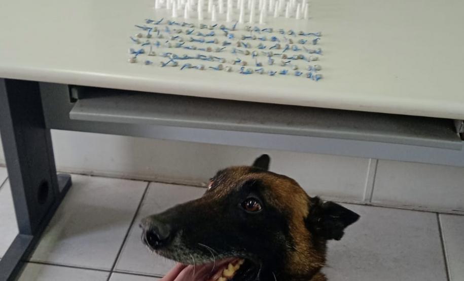 Trio é encaminhado e porções de drogas apreendidas graças a aplicação de cão de faro da PM em Curitiba
