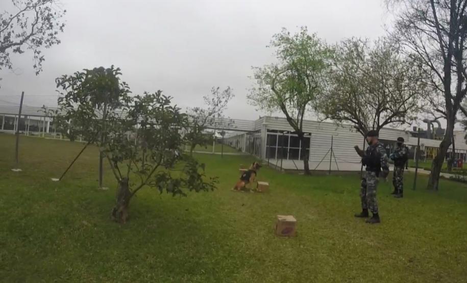 Cães de faro da PM passam por testes de faro de armas no Rio Grande do Sul