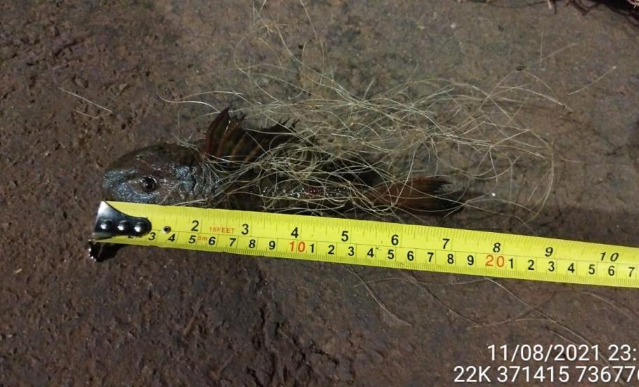 Batalhão de Polícia Ambiental-Força Verde encaminha três suspeitos por pesca ilegal e apreende quase 1 quilômetro de redes de pesca no rio Ivaí, em Fênix (PR)