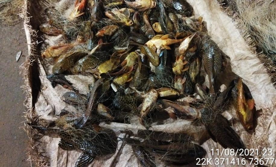 Batalhão de Polícia Ambiental-Força Verde encaminha três suspeitos por pesca ilegal e apreende quase 1 quilômetro de redes de pesca no rio Ivaí, em Fênix (PR)