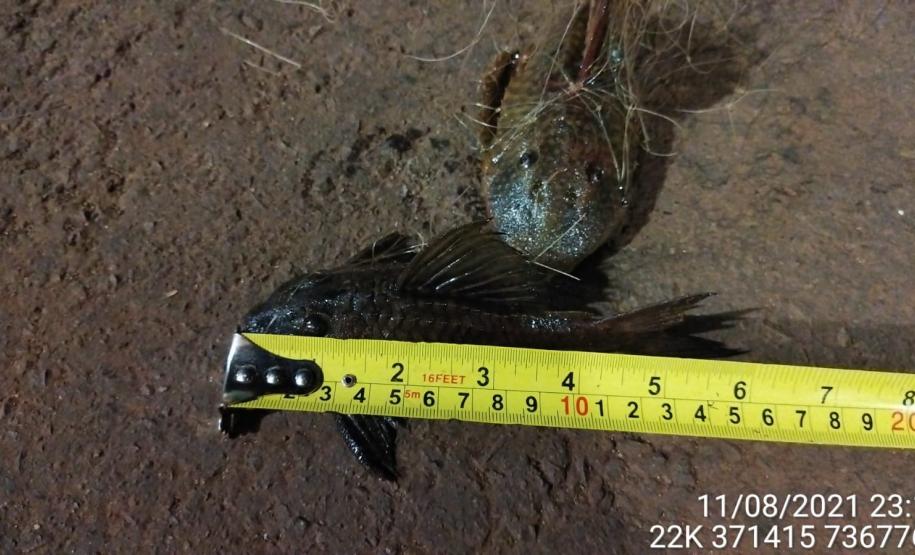 Batalhão de Polícia Ambiental-Força Verde encaminha três suspeitos por pesca ilegal e apreende quase 1 quilômetro de redes de pesca no rio Ivaí, em Fênix (PR)