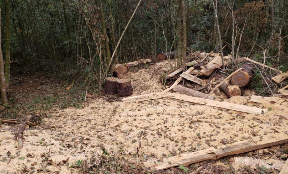 Polícia Ambiental flagra corte de mata nativa e aplica R$ 37,5 mil em multas