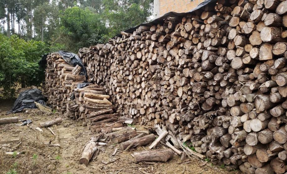 Polícia Ambiental flagra corte de mata nativa e aplica R$ 37,5 mil em multas