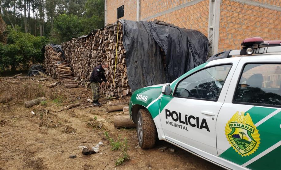 Polícia Ambiental flagra corte de mata nativa e aplica R$ 37,5 mil em multas