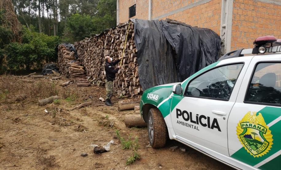 Polícia Ambiental flagra corte de mata nativa e aplica R$ 37,5 mil em multas